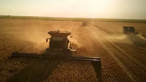 Cheerios-Sustainability-480