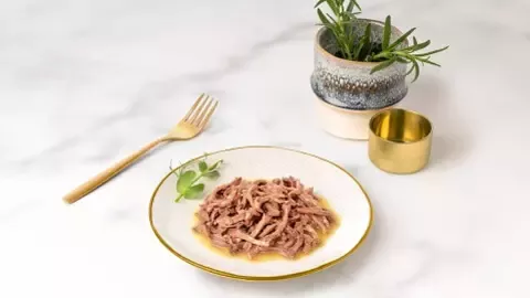Gourmet-brand-cat-480