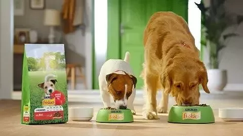 friskies-dogs-480