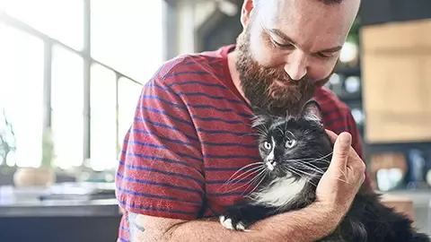 a girl plays with a cat