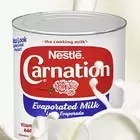 carnation-product